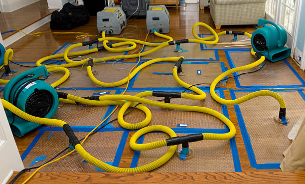 Professional Water Damage Restoration technician working in Eagan, TN